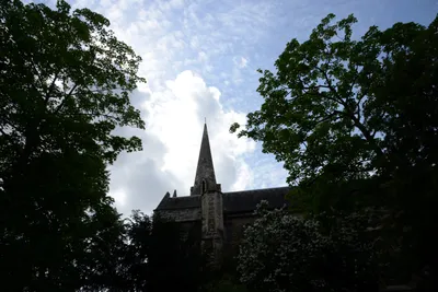 DSC_2771 (Large).JPG